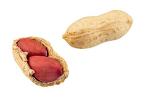 calories Cacahuètes